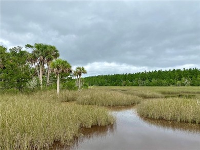 Beach Acreage For Sale in Brunswick, Georgia