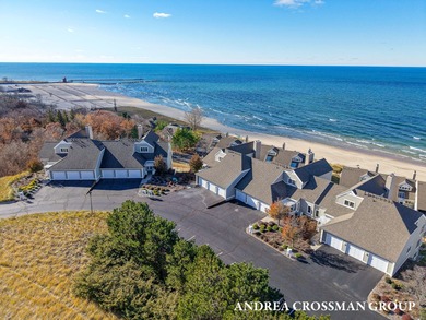 Beach Condo For Sale in Holland, Michigan