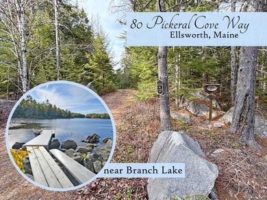 Beach Acreage For Sale in Ellsworth, Maine