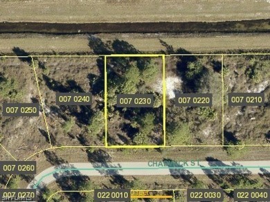 Beach Lot For Sale in Lehigh Acres, Florida