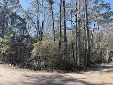 Beach Lot For Sale in Midway, Georgia