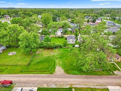 Beach Lot For Sale in Rockwood, Michigan