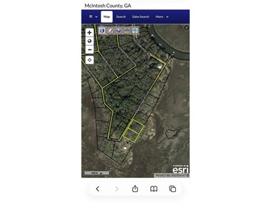 Beach Lot For Sale in Darien, Georgia