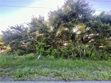 Beach Lot For Sale in Port Charlotte, Florida