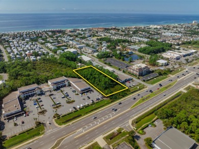 Beach Lot For Sale in Miramar Beach, Florida