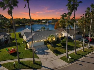 Beach Home Sale Pending in Tampa, Florida