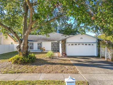 Beach Home For Sale in Tampa, Florida