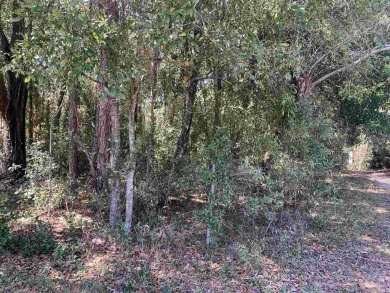 Beach Lot For Sale in Pensacola, Florida