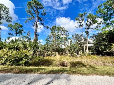 Beach Lot For Sale in Punta Gorda, Florida
