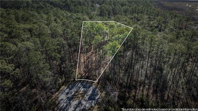 Beach Lot For Sale in Townsend, Georgia