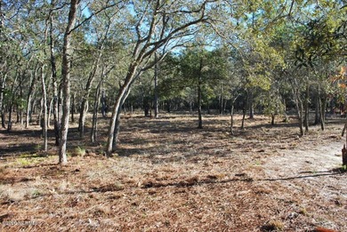 Beach Lot For Sale in Supply, North Carolina