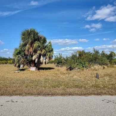 Beach Lot For Sale in Port Charlotte, Florida