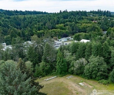Beach Lot For Sale in Ilwaco, Washington