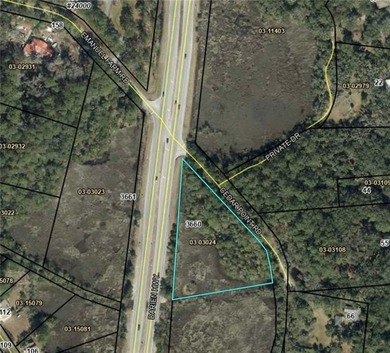 Beach Acreage For Sale in Brunswick, Georgia