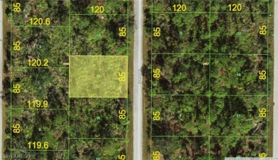 Beach Lot For Sale in Port Charlotte, Florida