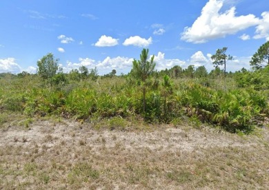 Beach Lot For Sale in Port Charlotte, Florida