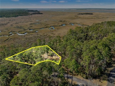 Beach Lot For Sale in Townsend, Georgia