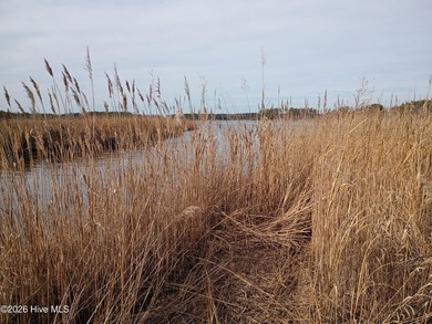 Beach Lot For Sale in Aurora, North Carolina