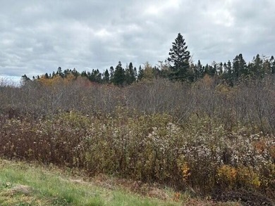 Beach Acreage For Sale in Lubec, Maine