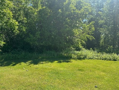 Beach Lot For Sale in New Buffalo, Michigan