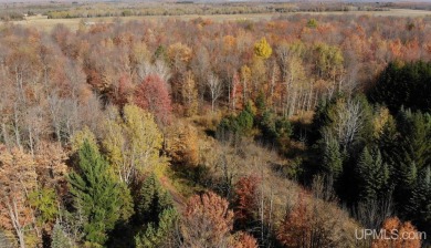 Beach Acreage Sale Pending in Ironwood, Michigan