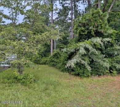 Beach Lot For Sale in Edenton, North Carolina