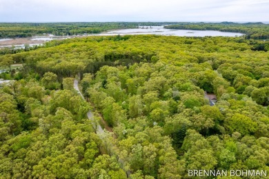 Beach Lot For Sale in Saugatuck, Michigan