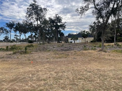 Beach Lot For Sale in Brunswick, Georgia