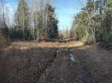 Beach Acreage For Sale in Deerton, Michigan