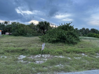 Beach Lot For Sale in Hutchinson Island, Florida