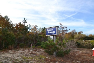 Beach Apartment For Sale in Amagansett, New York