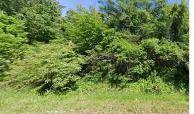 Beach Acreage For Sale in Monroe, Michigan