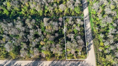 Beach Lot For Sale in Bunnell, Florida