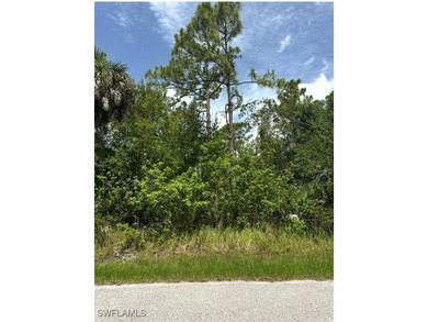 Beach Lot For Sale in Punta Gorda, Florida
