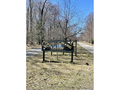 Beach Lot For Sale in Ludington, Michigan