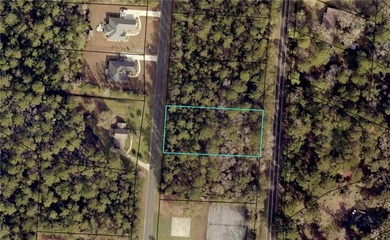 Beach Lot For Sale in Woodbine, Georgia