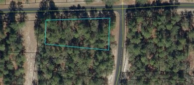 Beach Lot For Sale in Townsend, Georgia