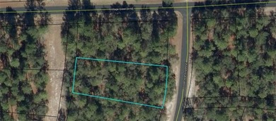 Beach Lot For Sale in Townsend, Georgia