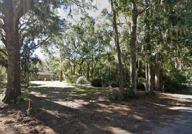 Beach Lot For Sale in Darien, Georgia