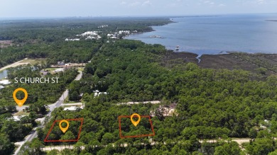 Beach Lot For Sale in Santa Rosa Beach, Florida