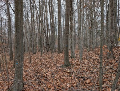 Beach Lot For Sale in Ludington, Michigan