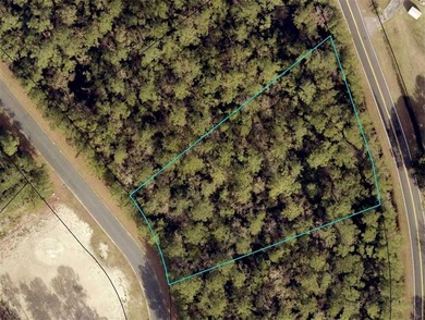 Beach Lot Active Under Contract in Woodbine, Georgia