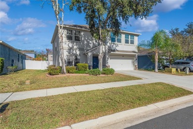 Beach Home For Sale in Land O Lakes, Florida