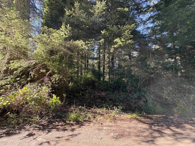 Beach Lot For Sale in Crescent City, California