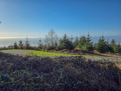 Beach Lot For Sale in Smith River, California