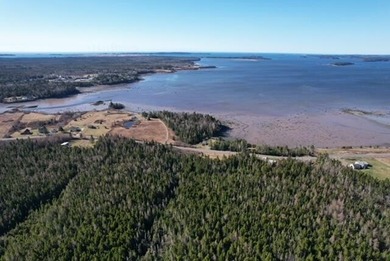 Beach Acreage For Sale in Whiting, Maine