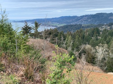 Beach Lot For Sale in Smith River, California