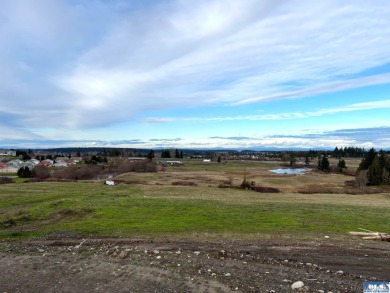 Beach Acreage Off Market in Sequim, Washington