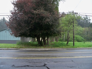 Beach Commercial For Sale in Crescent City, California