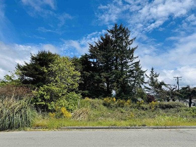 Beach Lot For Sale in Crescent City, California